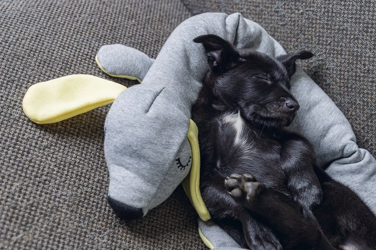 Beeztees Puppy Cosy Doggy Knuffel - 120x12x9,5 cm - Grijs