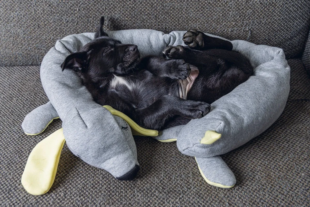 Beeztees Puppy Cosy Doggy Knuffel - 120x12x9,5 cm - Grijs