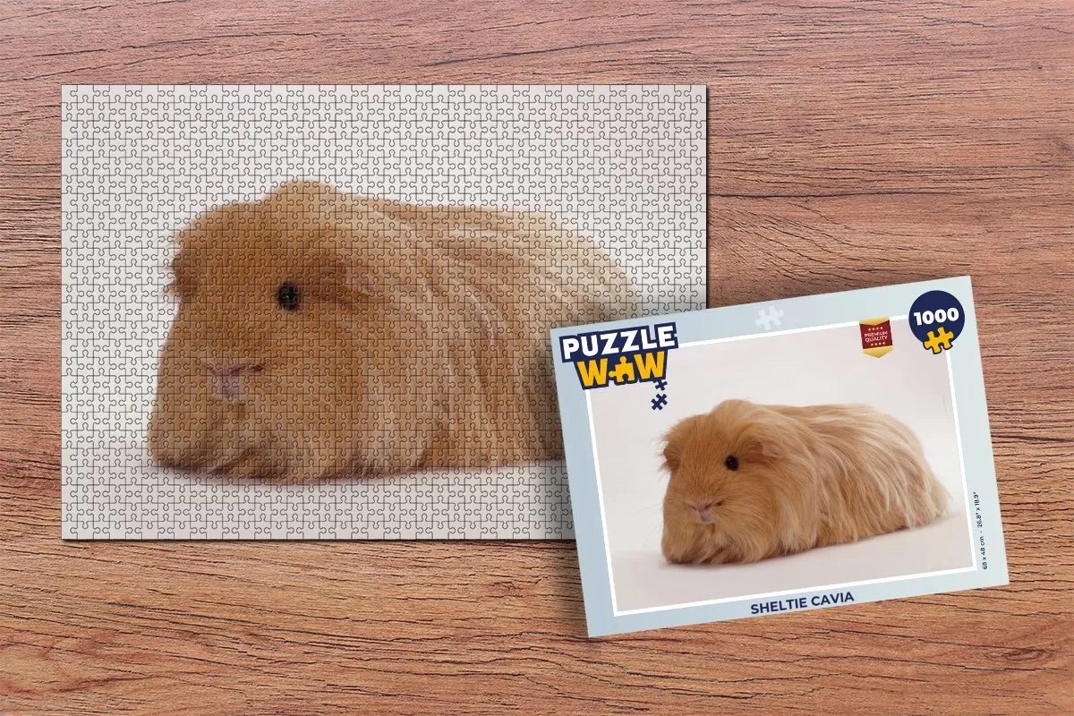 PuzzleWow Sheltie Cavia Legpuzzel 1000 Stuks - Multicolor