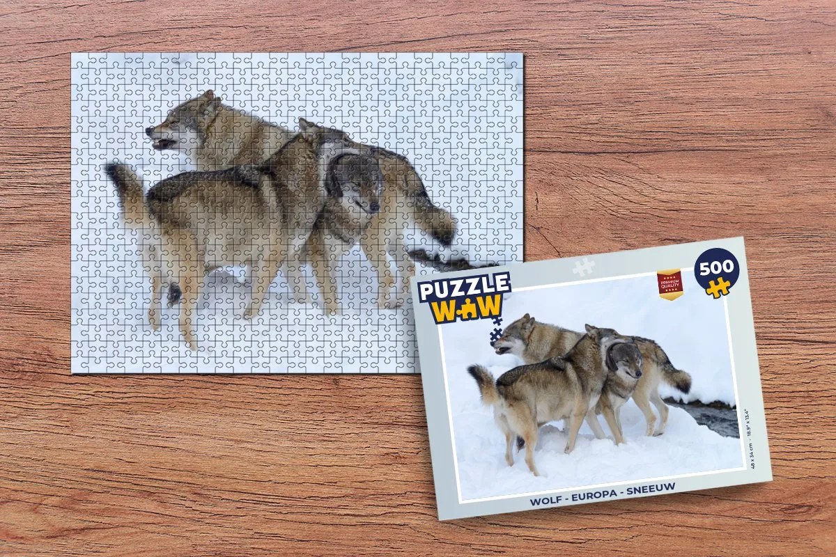 PuzzleWow Europa Sneeuw Legpuzzel 500 Stuks - Multicolor
