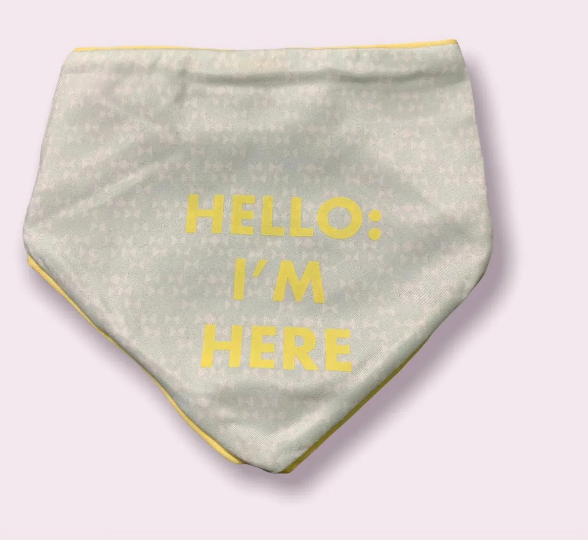 Beeztees Puppy Bandana