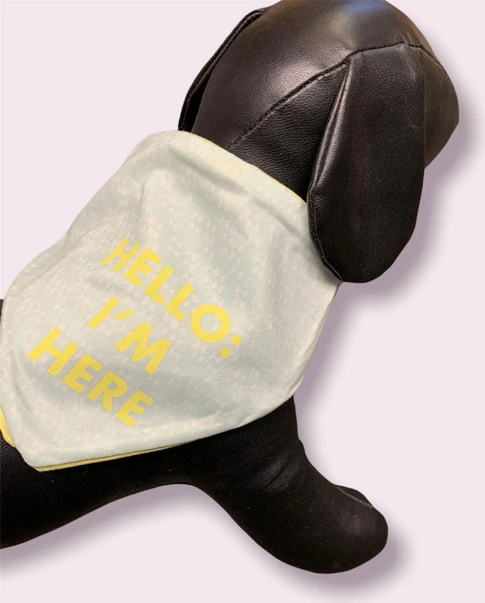 Beeztees Puppy Bandana - Blauw/Grijs/Geel - 39x16cm