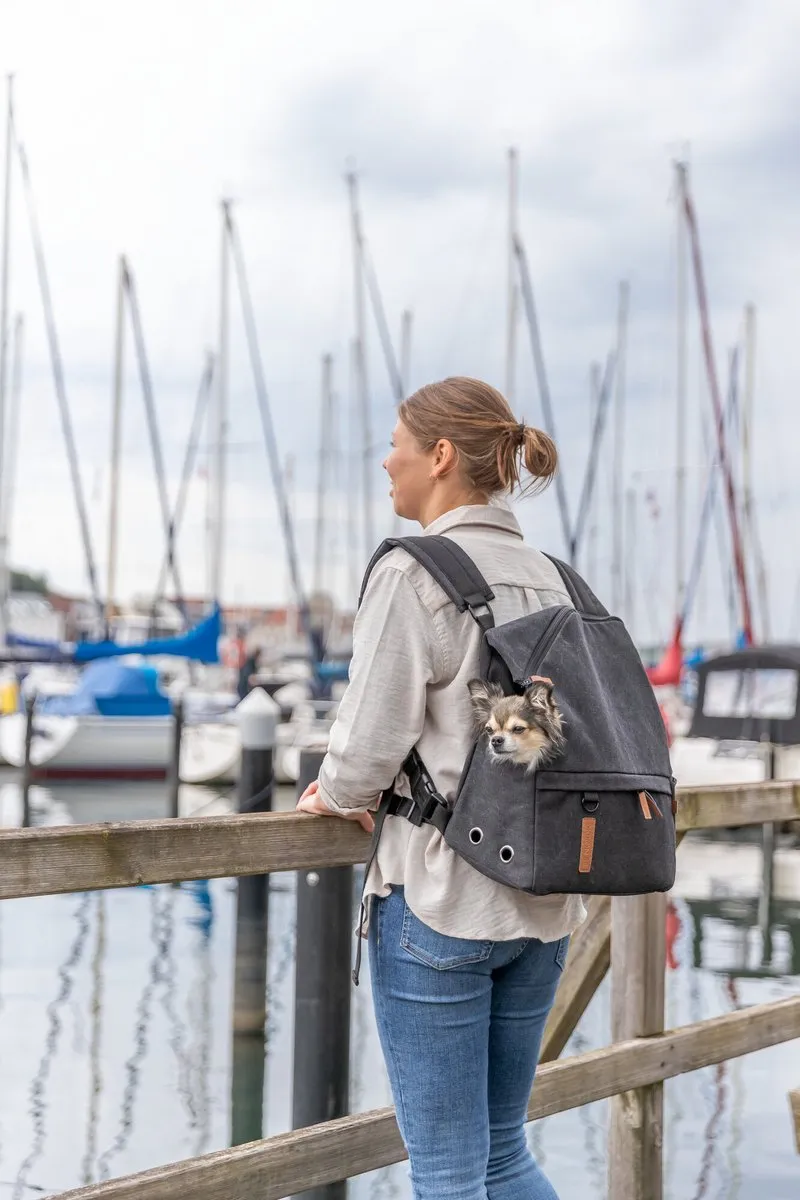 Trixie Be Nordic Bjorn Rugtas - Zwart 35x20x40cm - afbeelding 5 van 6