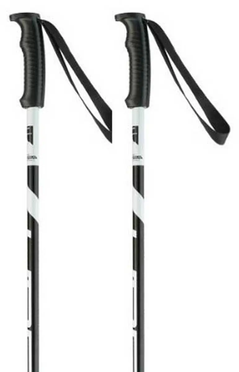 Elan Hotrod Stokken Zilver 135 cm