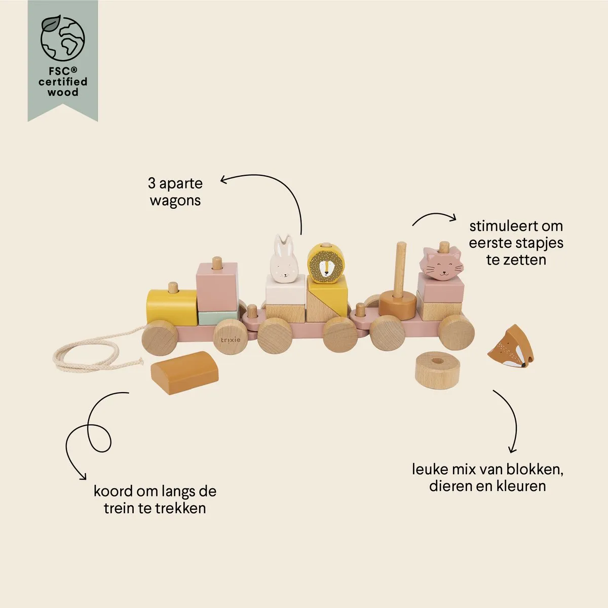 Trixie Houten Dierentrein Mrs. Cat 84-190 - Roze