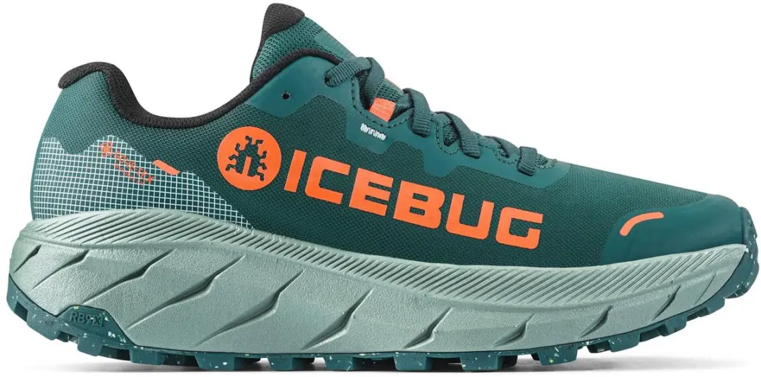 Icebug Arcus 2 RB9X GTX Damesschoenen