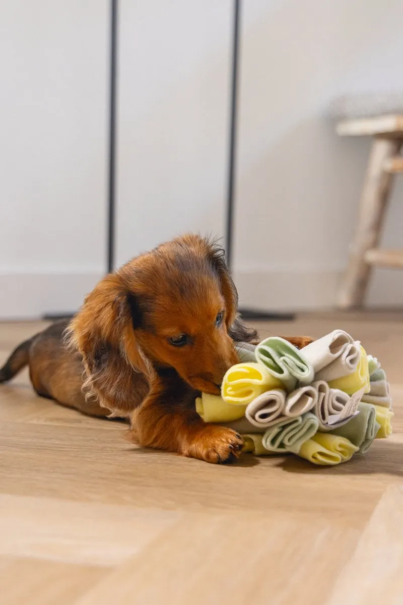 Beeztees Puppy Snuffelbol Izzy Speelgoed - 13x13x13cm - Geel/Groen/Grijs