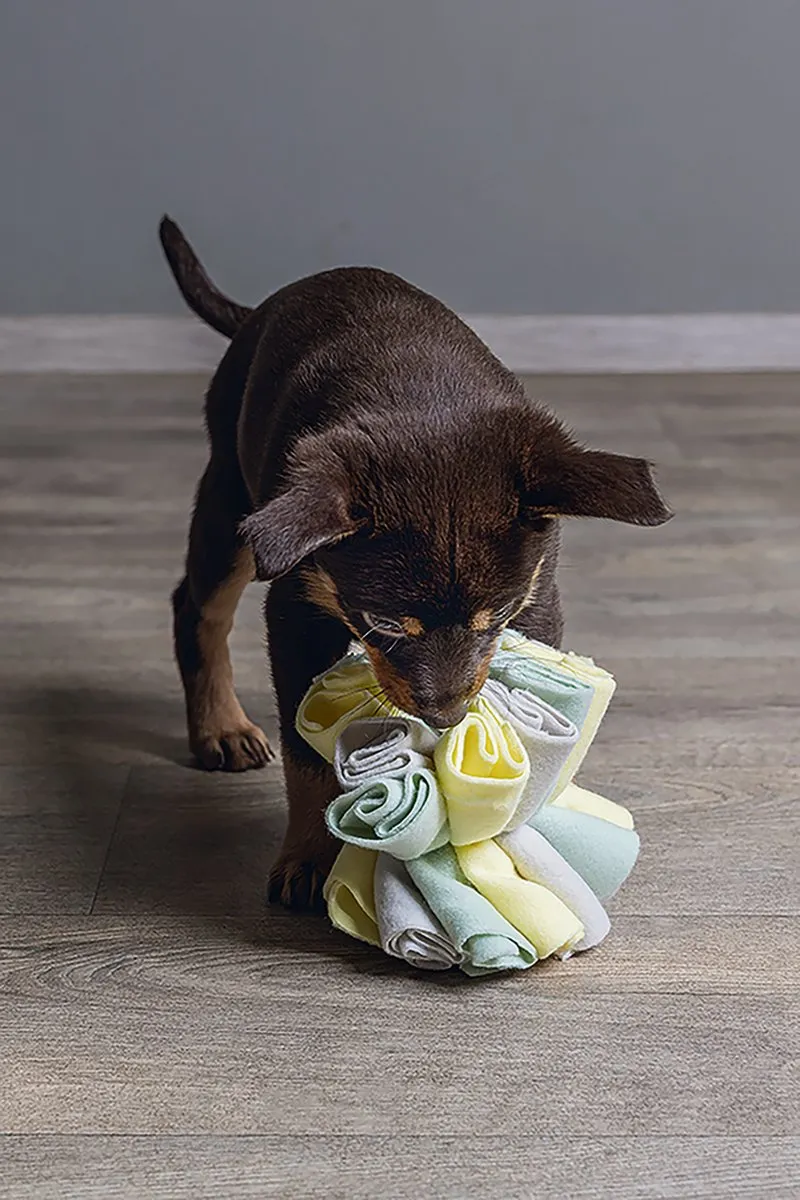 Beeztees Puppy Snuffelbol Izzy Speelgoed - 13x13x13cm - Geel/Groen/Grijs - afbeelding 6 van 6