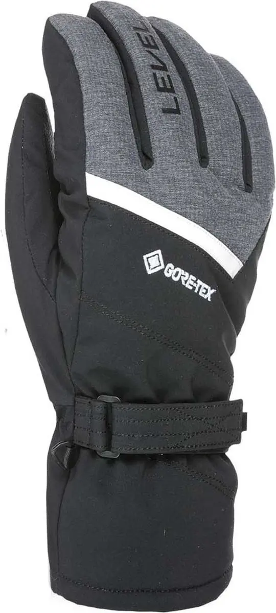 Level Evolution Gore-tex® Handschoenen Zwart,Grijs M-L Man