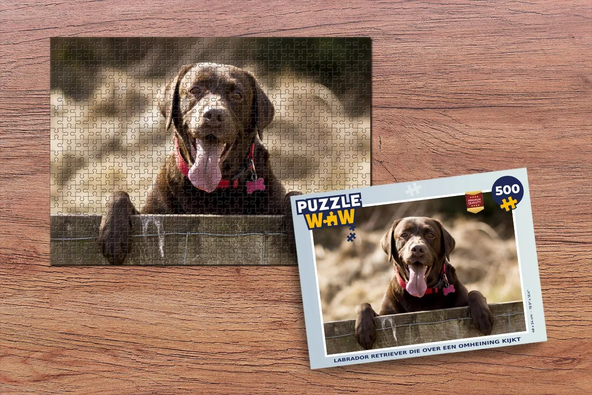 PuzzleWow Labrador Retriever Legpuzzel 500 Stuks - Multicolor