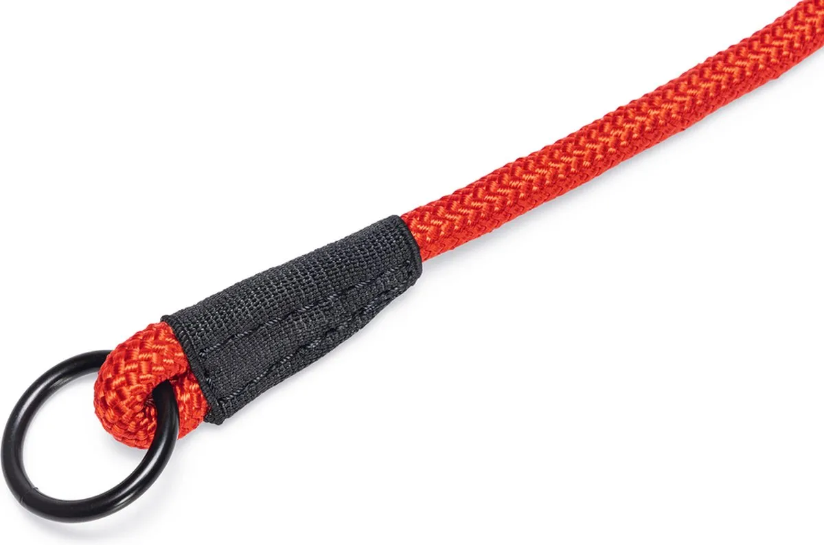 Beeztees Premium Parinca Hondenhalsband - Rood