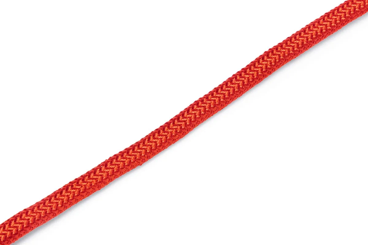 Beeztees Premium Parinca Hondenhalsband - Rood