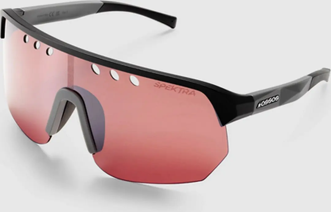 Assos Donzi Bril - Grijs - afbeelding 5 van 6