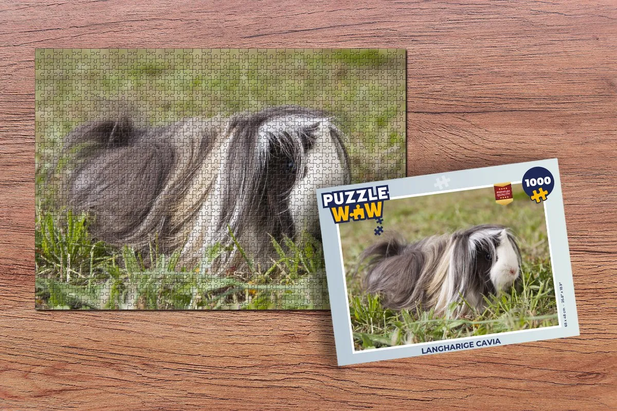 PuzzleWow Legpuzzel Langharige cavia 1000 Stuks - Multicolor