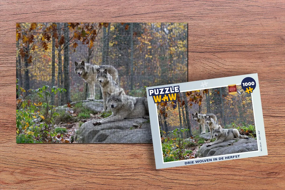PuzzleWow Rots - Bos Legpuzzel 1000 Stuks - Multicolor