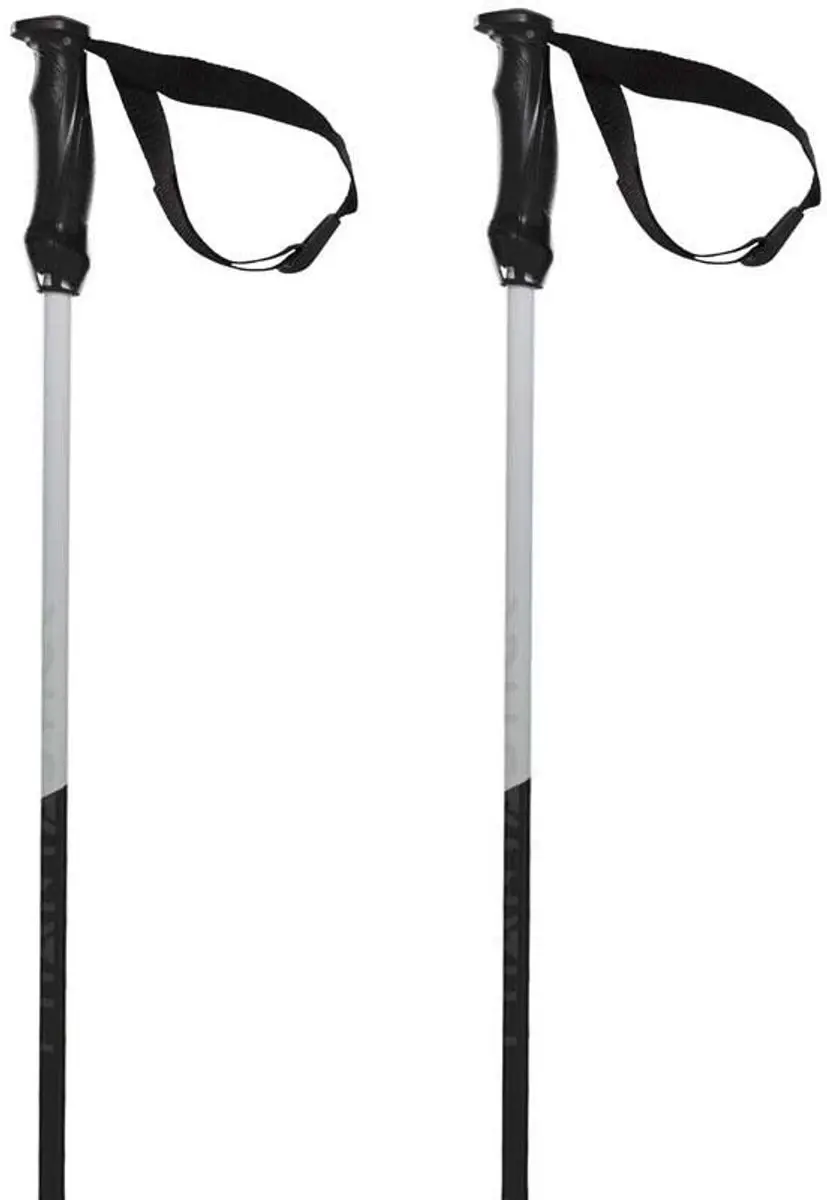 Volkl Phantastick Iii Stokken Zilver 130 cm
