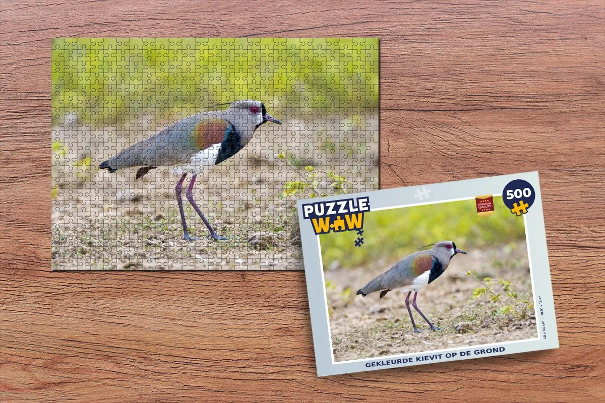 PuzzleWow Legpuzzel 500 Stukjes Multicolor