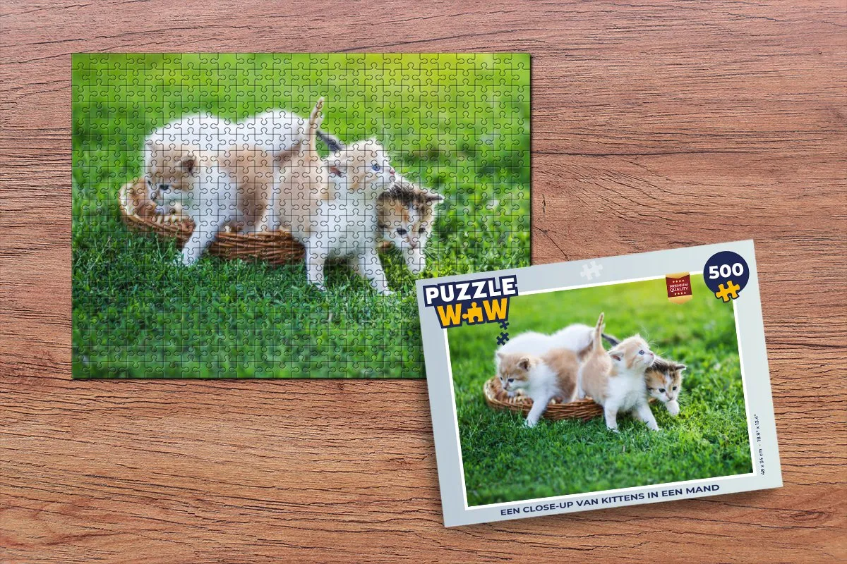 PuzzleWow Legpuzzel Kittens in Mand 500 Stuks