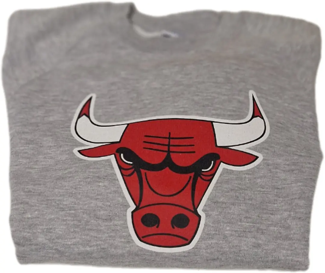 CHICAGO BULLS