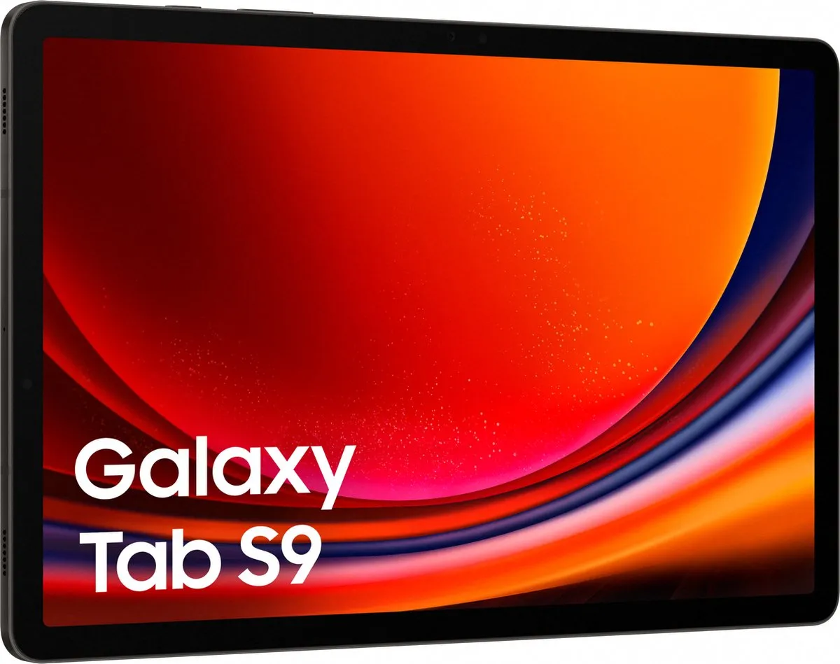 Samsung Galaxy Tab S9 SM-X716BZAEEUB - 256GB - Graphite