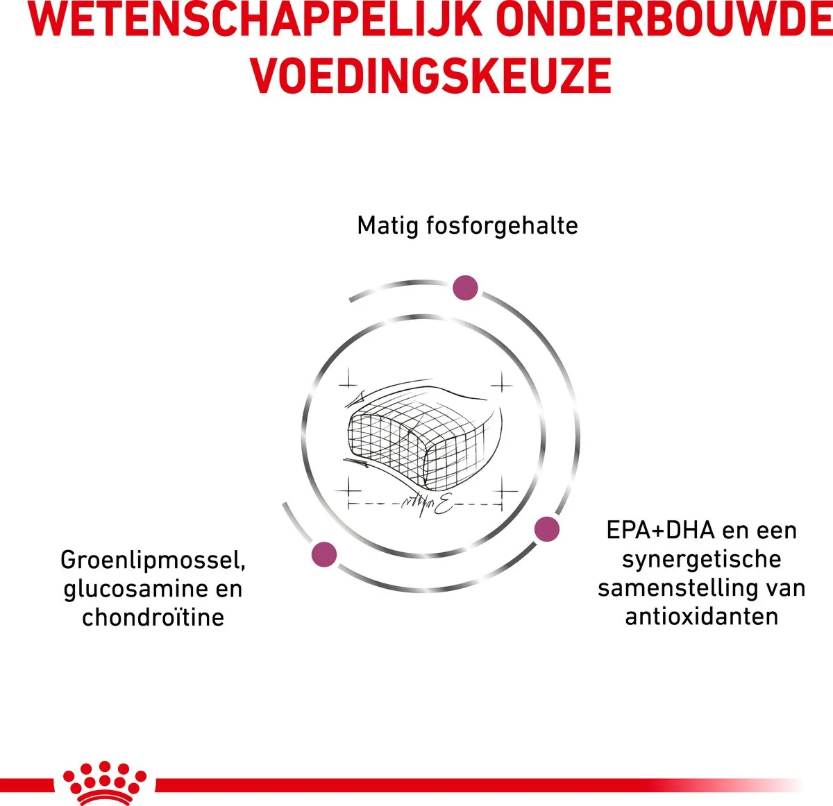 Royal Canin Veterinary Diet Cat Early Renal Kattenvoer 400g