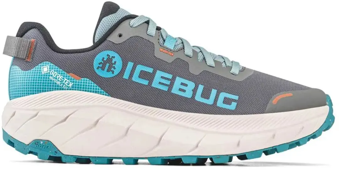 Icebug Arcus 2 Rb9x Gore-tex® Wandelschoenen Grijs EU 42 Man