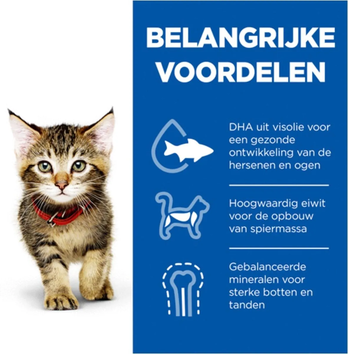 Hill's Feline Kitten Kip Kattenvoer 1,5 kg
