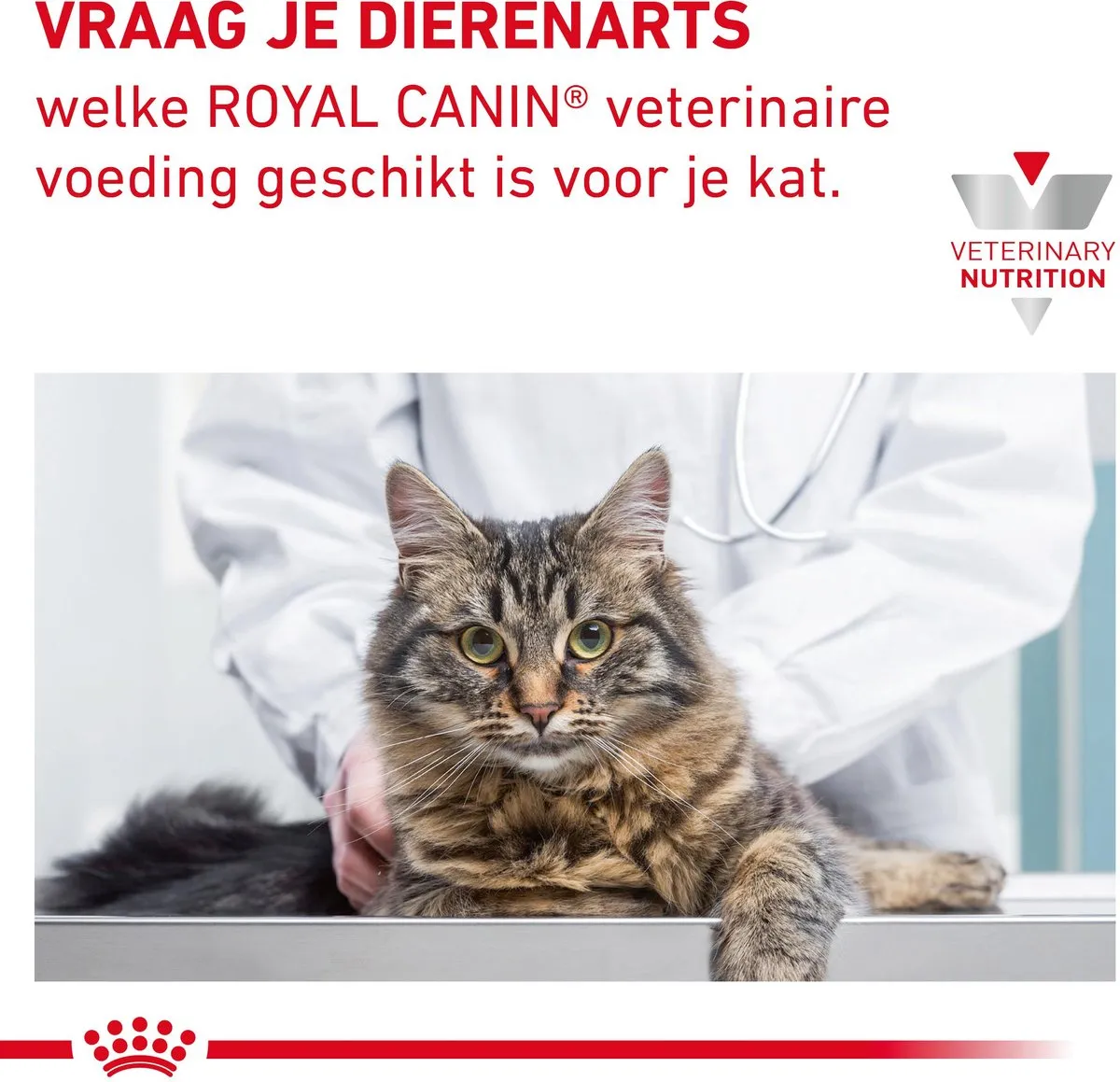 Royal Canin Veterinary Diet Sensitivity Control - Kattenvoer - 3.5 kg