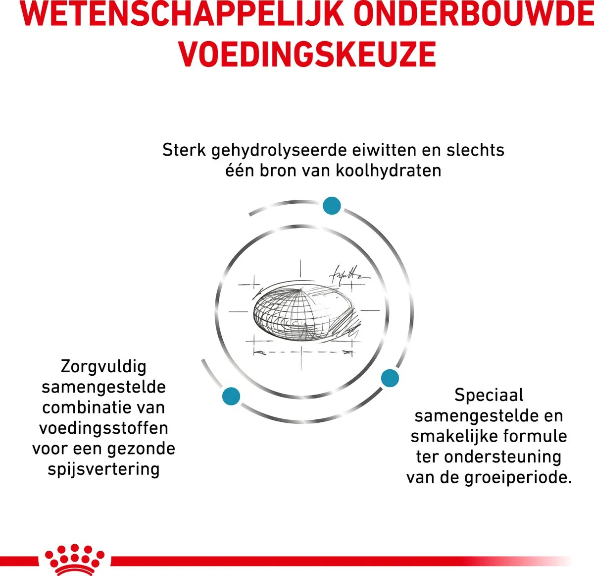 Royal Canin Veterinary Diet Hypoallergeen Puppyvoer 14kg