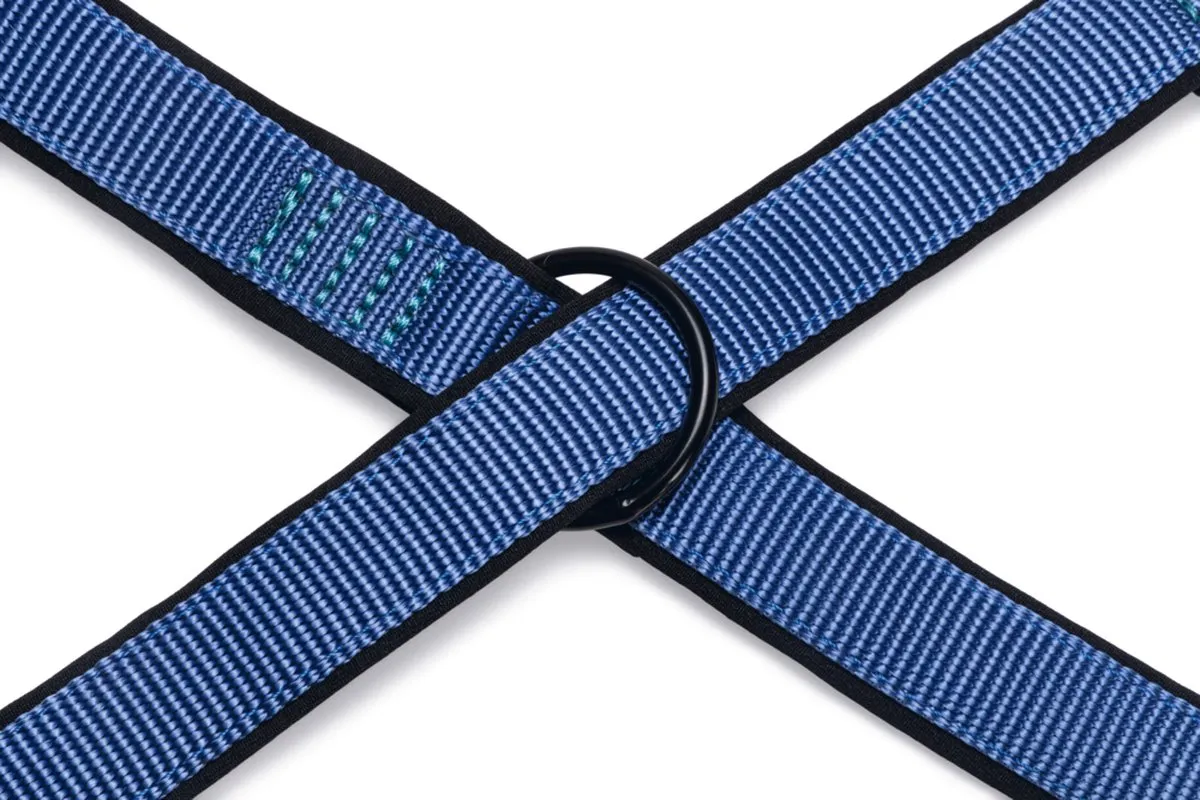 Beeztees Parinca Premium Hondenriem - Blauw 200cm x 20mm - afbeelding 2 van 6