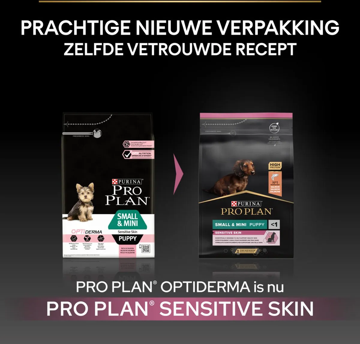 Pro Plan Puppy Small & Mini Zalm 3kg - 4 Stuks