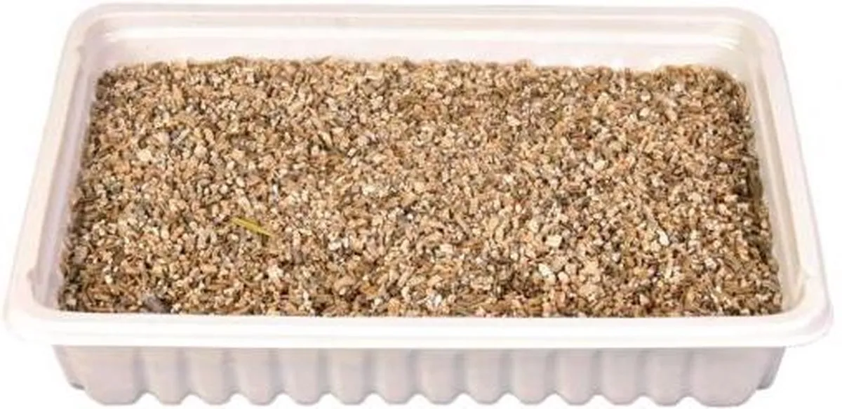 Trixie Kattengras Bak - 100g