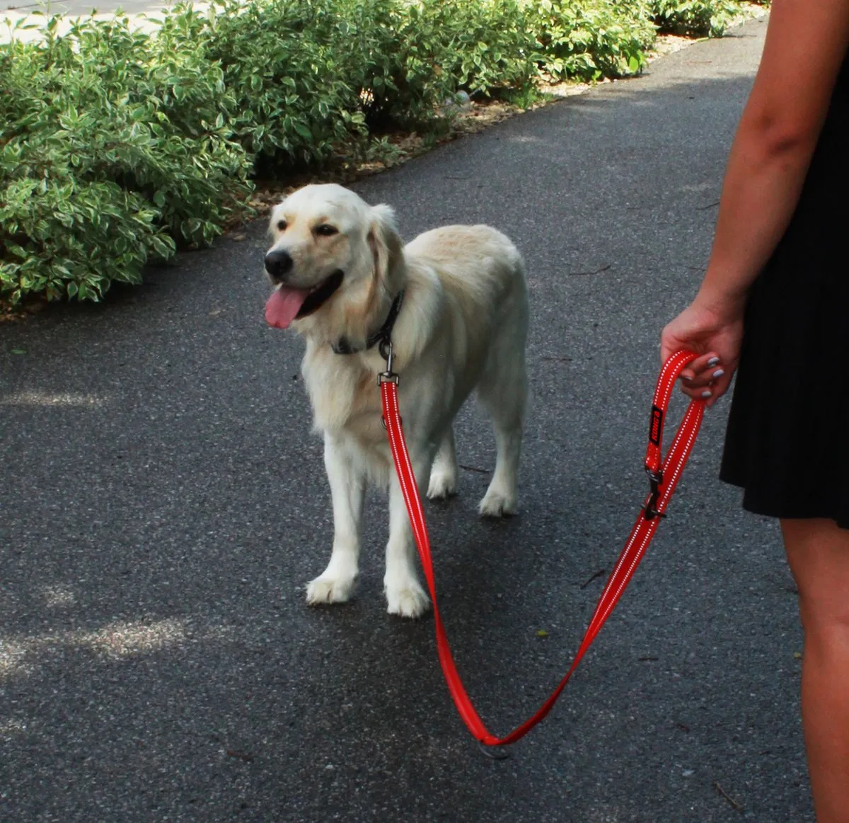 KONG Adjustable Leash - Zwart - S/M