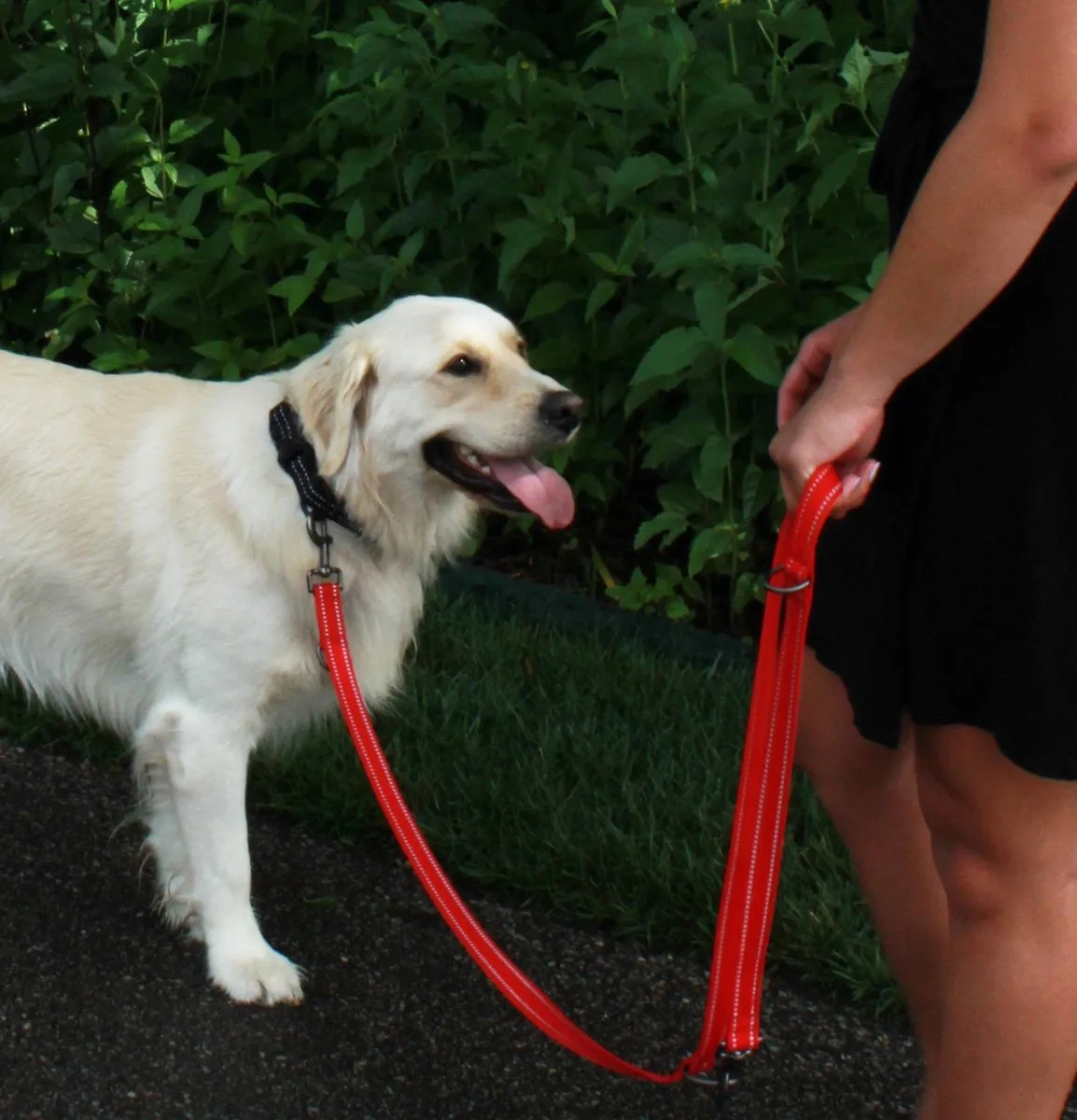 KONG Adjustable Leash - Zwart - S/M