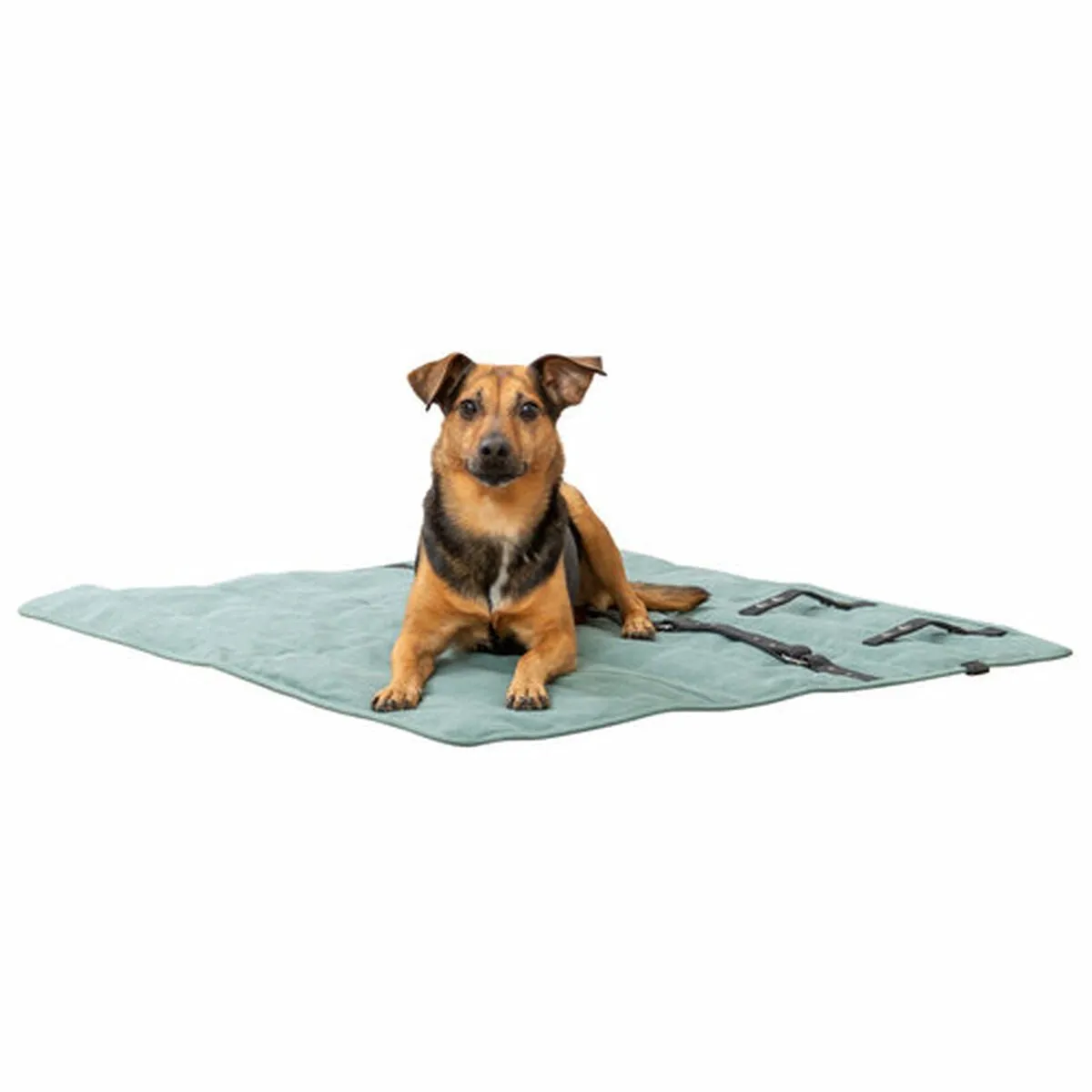 Trixie CityStyle Reisdeken 80x80cm - Saliegroen - afbeelding 5 van 5