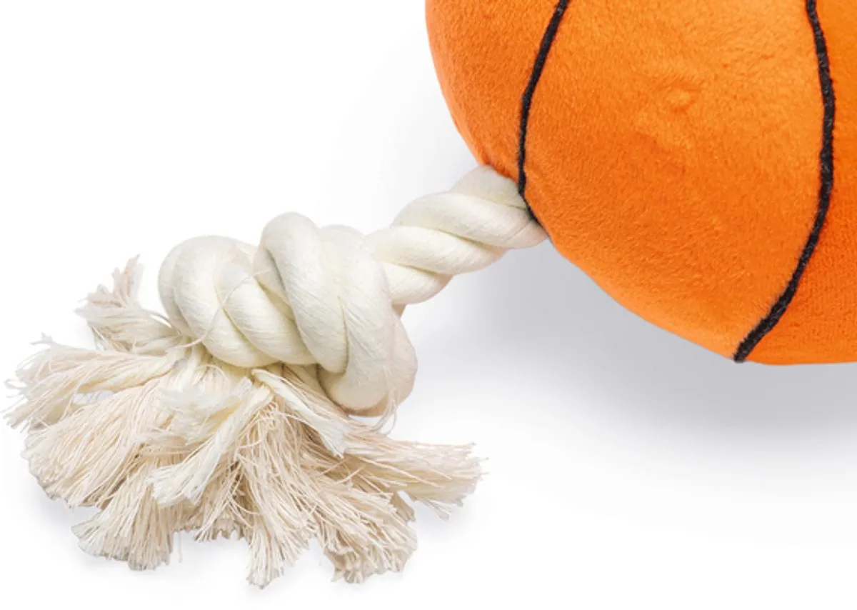 Beeztees Basketbal Hondenspeelgoed M - Oranje