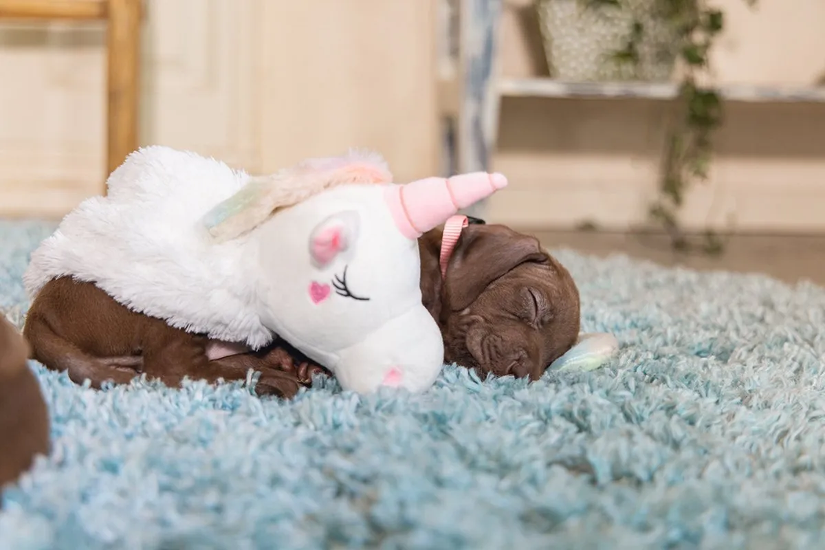 Beeztees Puppy Flatino Unicorn Lo Hondenspeelgoed S - Wit