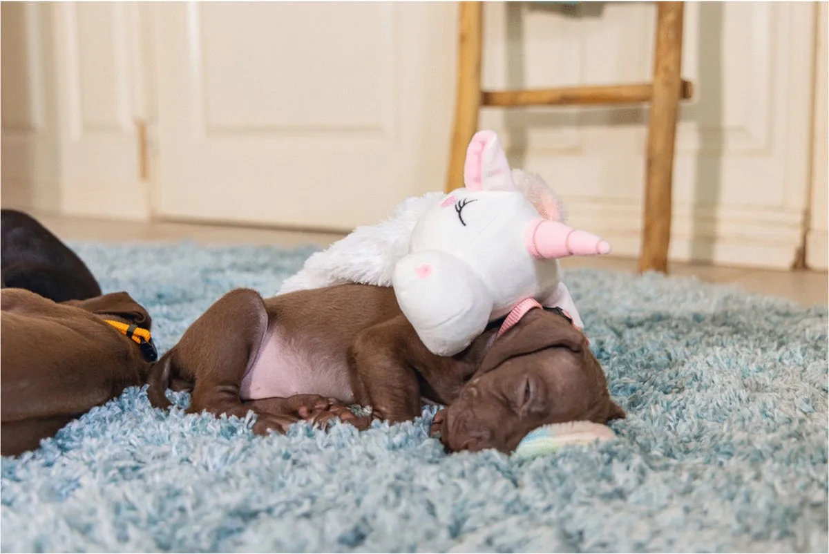 Beeztees Puppy Flatino Unicorn Lo Hondenspeelgoed S - Wit