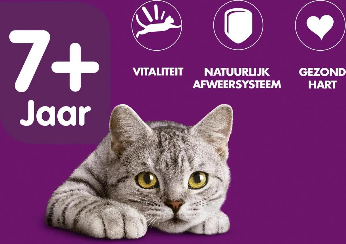 Whiskas 7+ Kattenbrokken Kip - 6x1.9kg - afbeelding 6 van 6