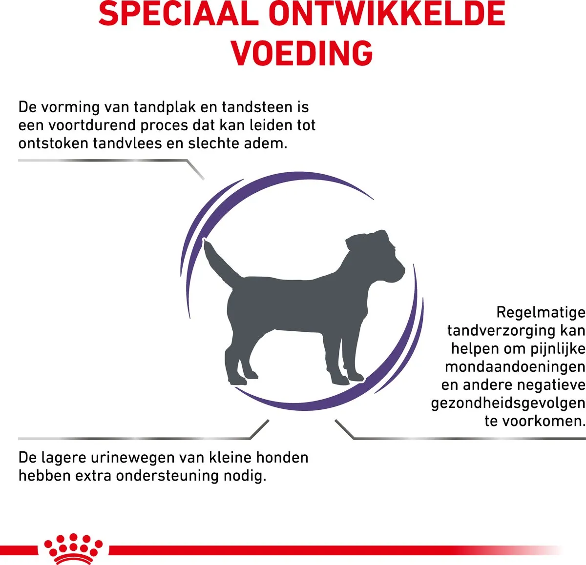 Royal Canin Veterinary Diet Dental Special <10kg Hondenvoer 3.5kg