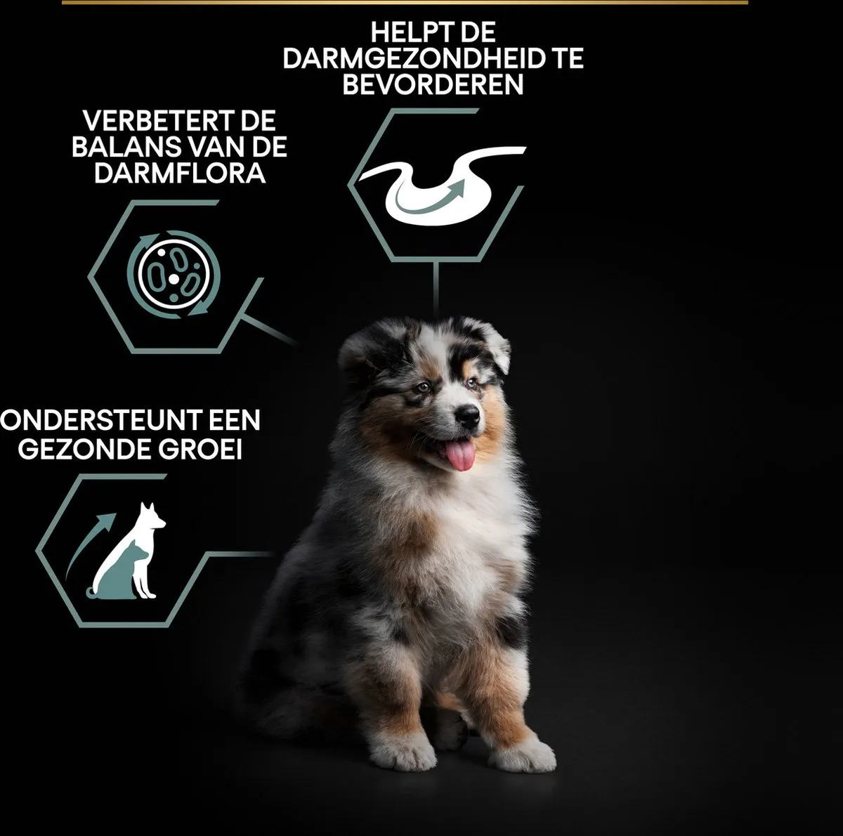 Pro Plan Dog Puppy Medium Breed Lam 3kg