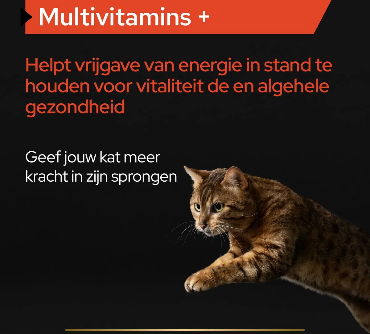 Pro Plan Kat Multivitamine Supplement - 60 g