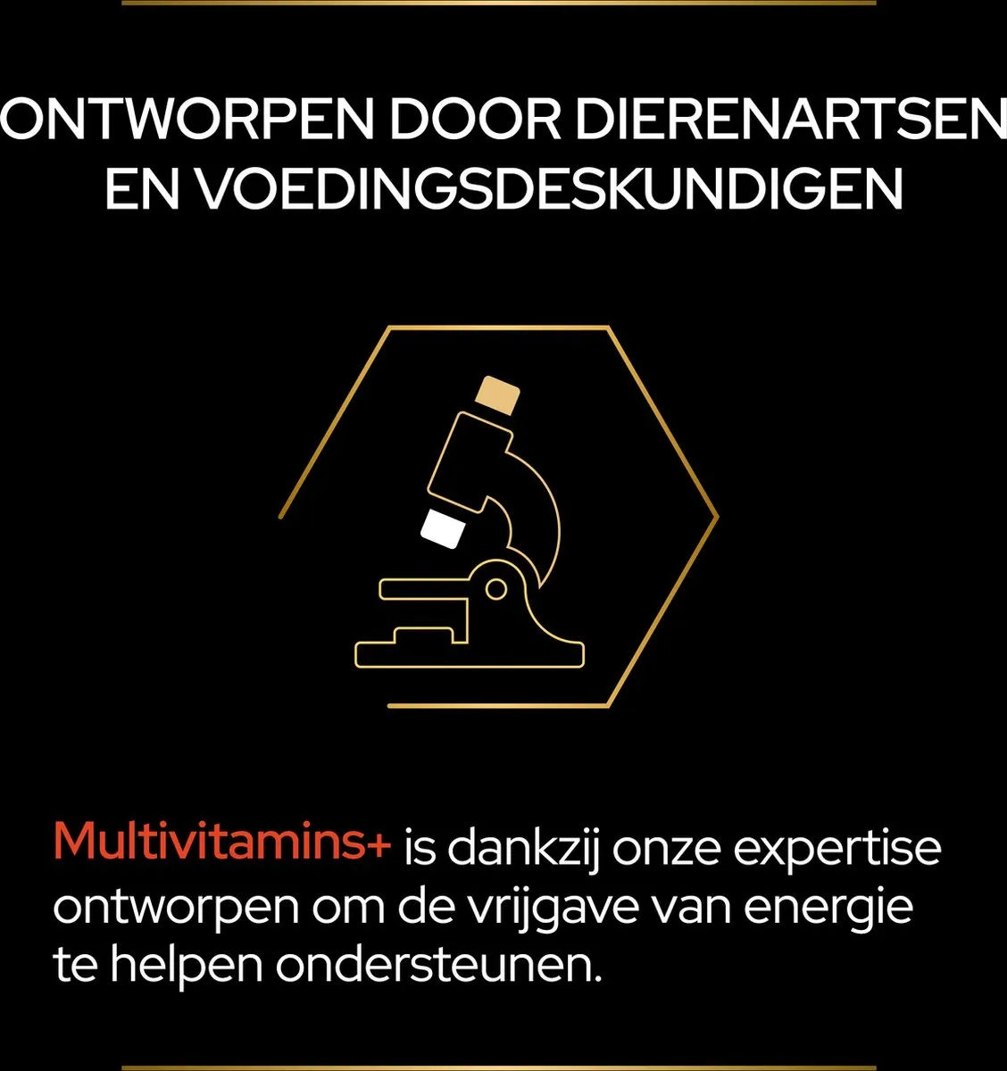 Pro Plan Kat Multivitamine Supplement - 60 g