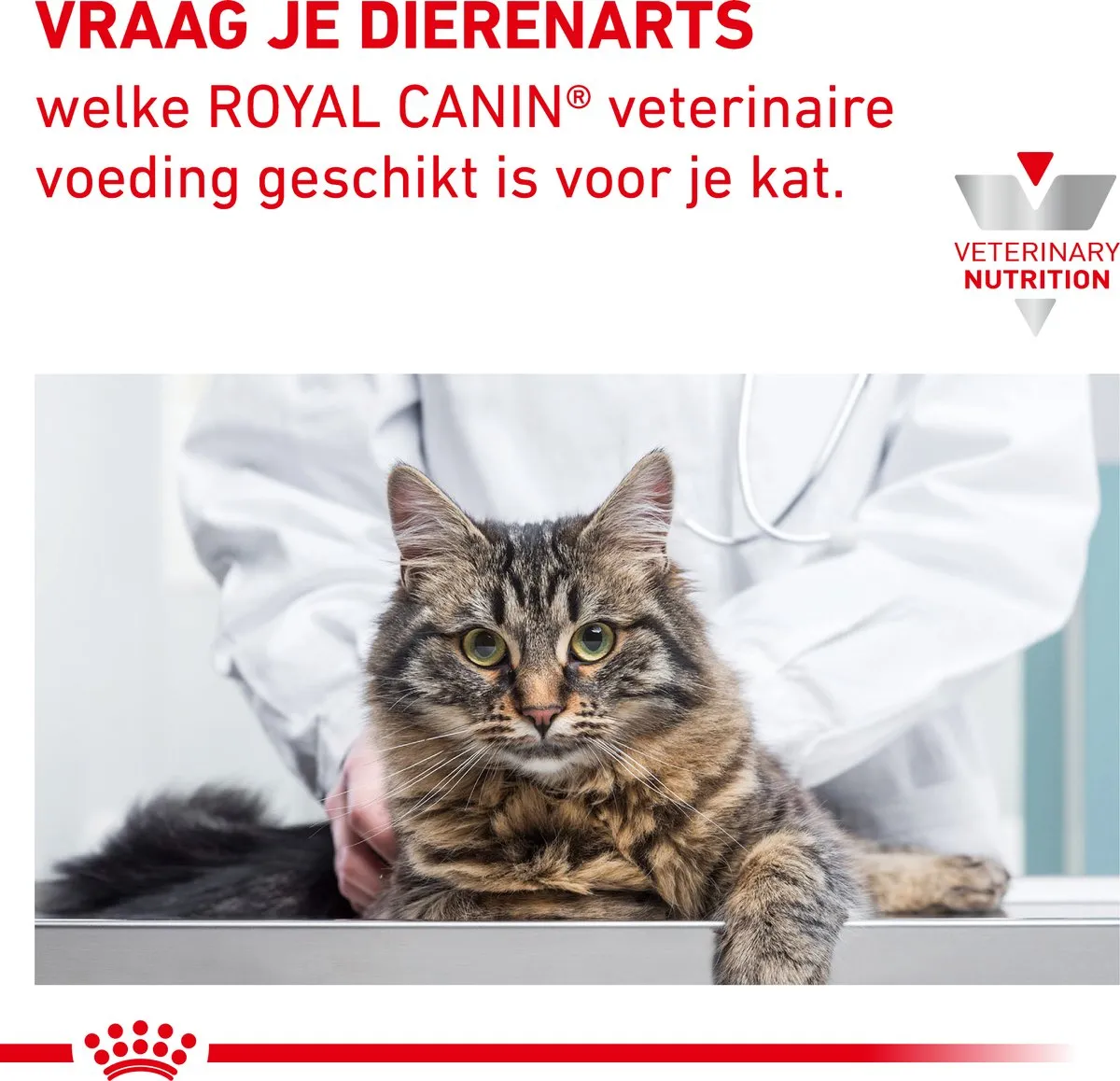 Royal Canin Veterinary Diet Hypoallergenic - Kattenvoer - 400 g