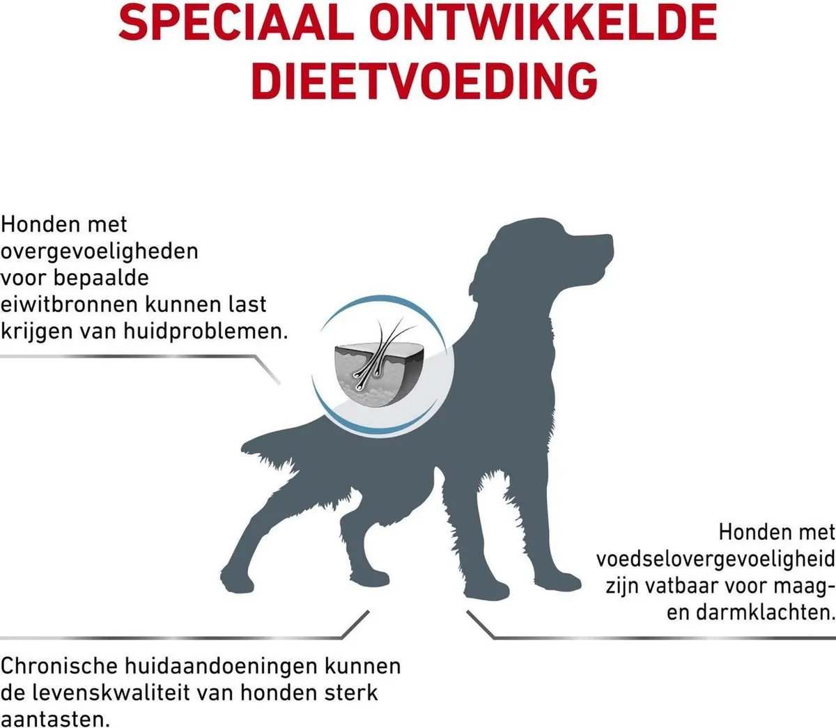 Royal Canin Hypoallergeen Hondenvoer 2kg