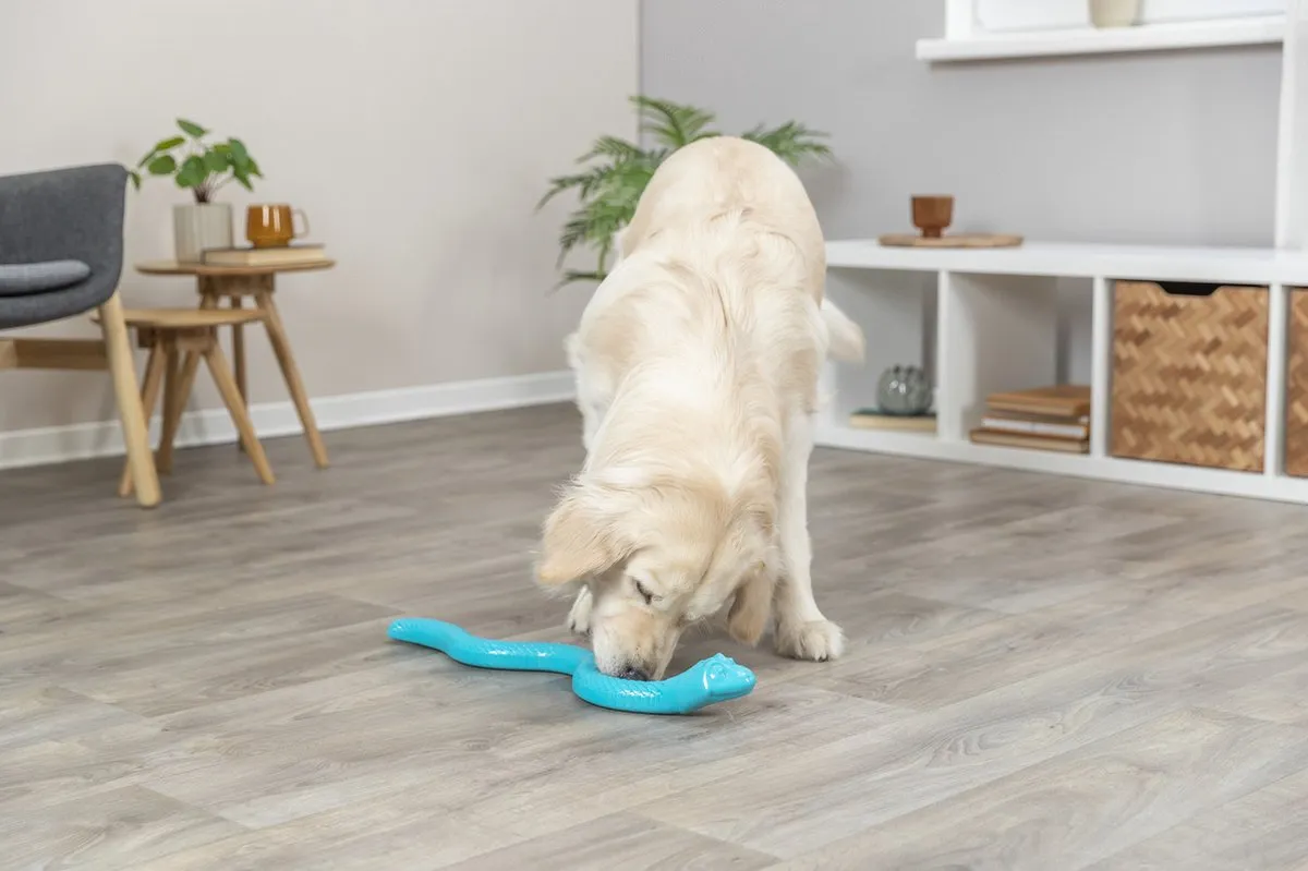 Trixie Snackslang Honden Speelgoed 59cm - Blauw - afbeelding 6 van 6