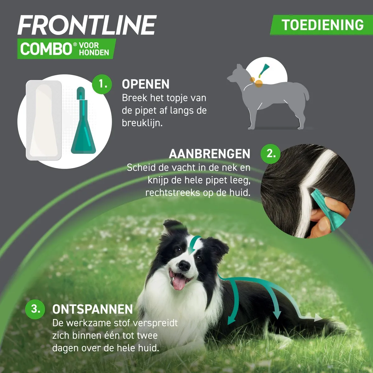 Frontline Combo XL Hond Vlooiendruppels - 12 Pipetten