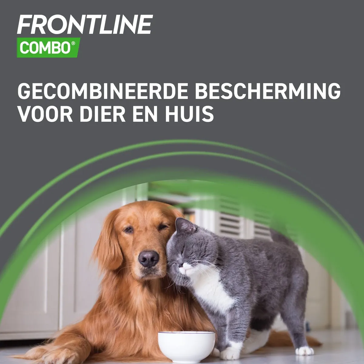 Frontline Combo XL Hond Vlooiendruppels - 12 Pipetten