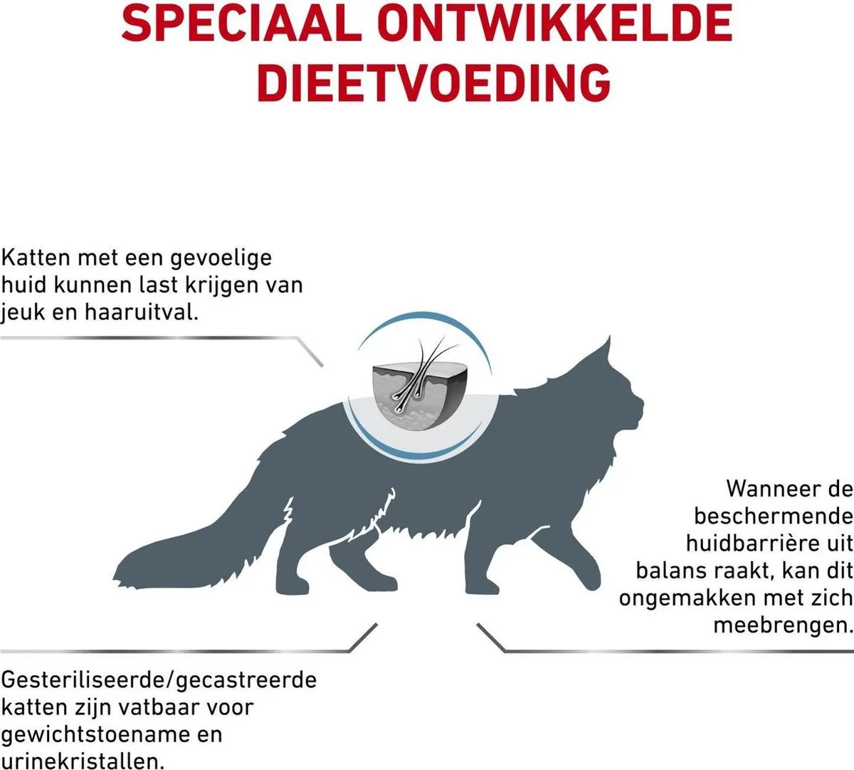 Royal Canin Veterinary Diet Skin & Coat Kat 3,5kg