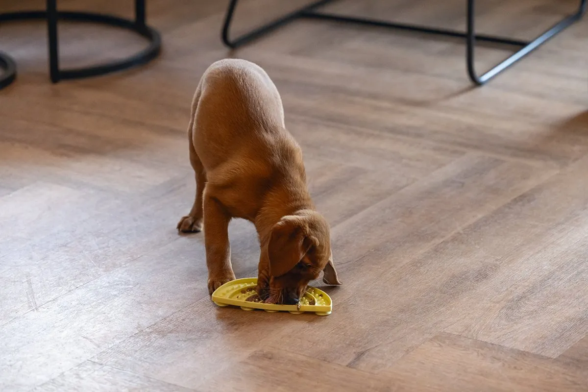 Beeztees Puppy Likmat Regenboog Sem - Geel - afbeelding 5 van 6